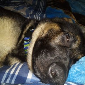 Meet your Posher, Rita